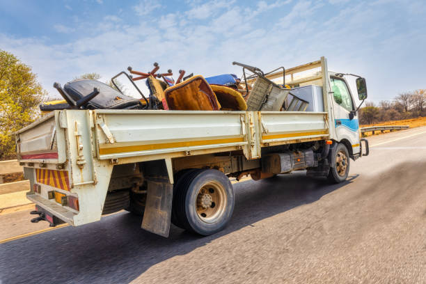 Basement Cleanout Services in Pinewood, FL